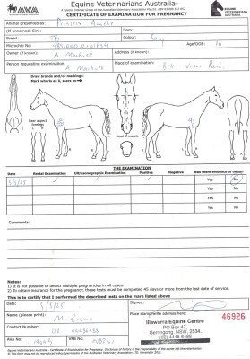 Pregnancy Certificate for Lot 208