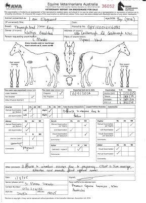 Pregnancy Certificate for Lot 92