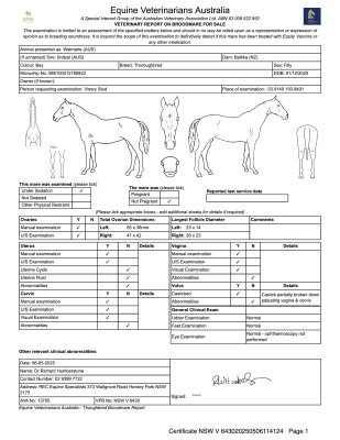Breeding Report for Lot 21