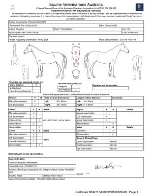 Breeding Report for Lot 58