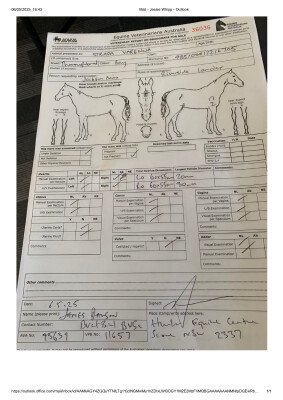 Breeding Report for Lot 89