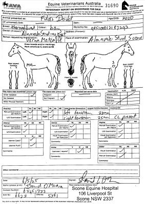 Breeding Report for Lot 306