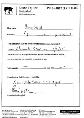 Pregnancy Certificate for Lot 283