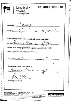 Pregnancy Certificate for Lot 271