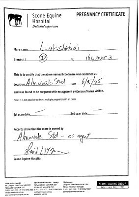 Pregnancy Certificate for Lot 290