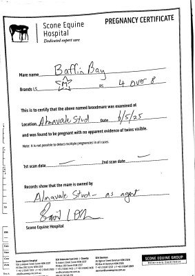 Pregnancy Certificate for Lot 248