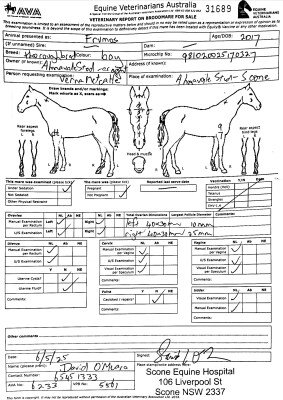 Breeding Report for Lot 273