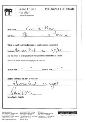 Pregnancy Certificate for Lot 258