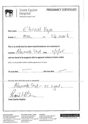 Pregnancy Certificate for Lot 265