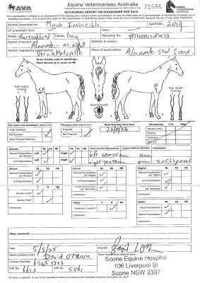 Breeding Report for Lot 85