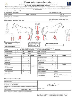 Breeding Report for Lot 94