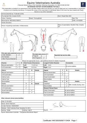 Breeding Report for Lot 61