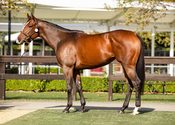 Lot 25: Deep Field / Laugh a Little