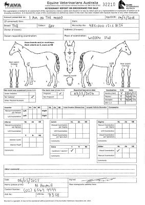 Pregnancy Certificate for Lot 284