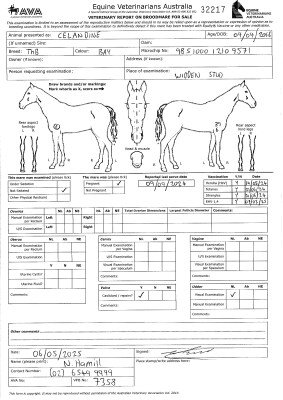Pregnancy Certificate for Lot 254