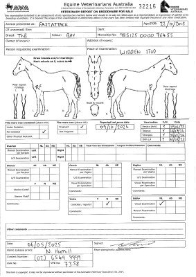 Pregnancy Certificate for Lot 268