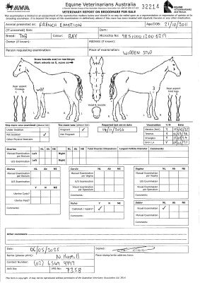 Pregnancy Certificate for Lot 272