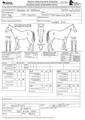 Pregnancy Certificate for Lot 209