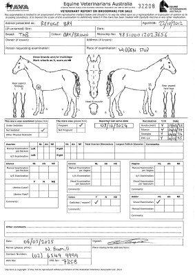 Pregnancy Certificate for Lot 211
