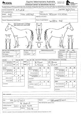 Breeding Report for Lot 270