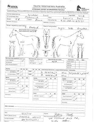 Breeding Report for Lot 23