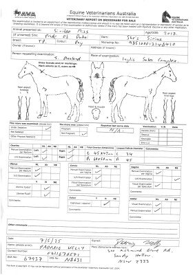 Breeding Report for Lot 13