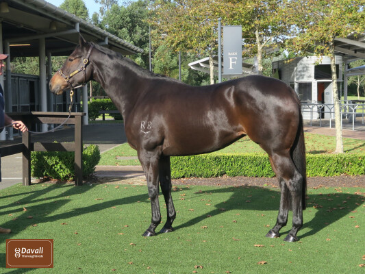 Lot 269: Charge Forward / Suffer in Silence