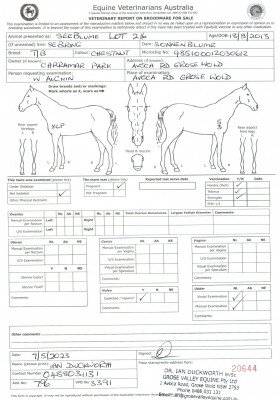 Pregnancy Certificate for Lot 216