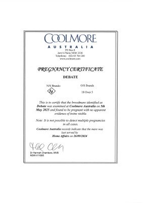 Pregnancy Certificate for Lot 260