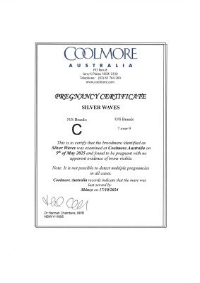 Pregnancy Certificate for Lot 222