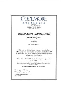 Pregnancy Certificate for Lot 296