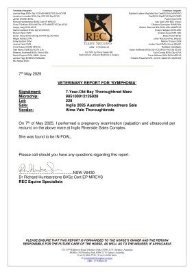 Pregnancy Certificate for Lot 228