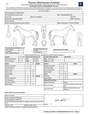 Breeding Report for Lot 212
