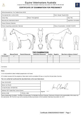 Pregnancy Certificate for Lot 239