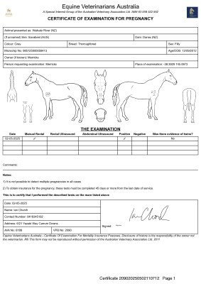 Pregnancy Certificate for Lot 233