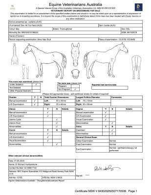 Breeding Report for Lot 291