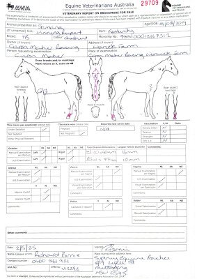 Breeding Report for Lot 10