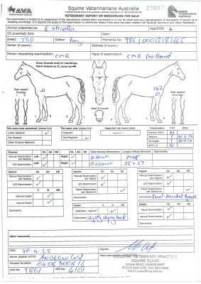 Breeding Report for Lot 57