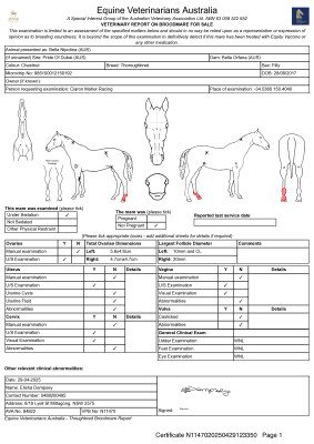 Breeding Report for Lot 35