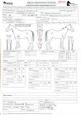 Breeding Report for Lot 7