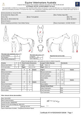 Breeding Report for Lot 69