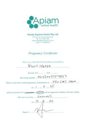 Pregnancy Certificate for Lot 36