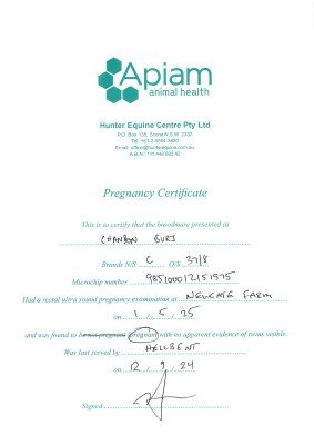 Pregnancy Certificate for Lot 45
