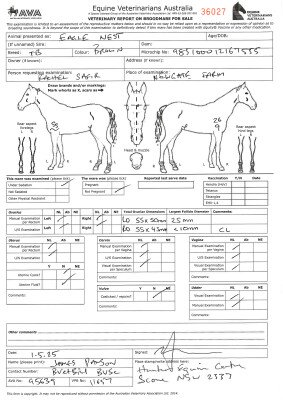 Breeding Report for Lot 54