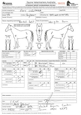 Breeding Report for Lot 60