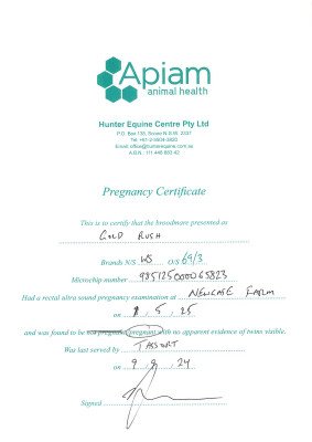 Pregnancy Certificate for Lot 65