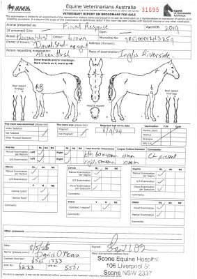 Breeding Report for Lot 269