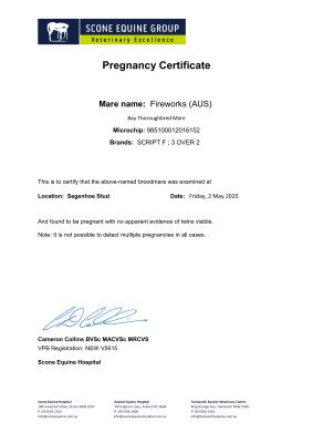 Pregnancy Certificate for Lot 59