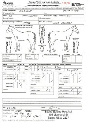 Breeding Report for Lot 52