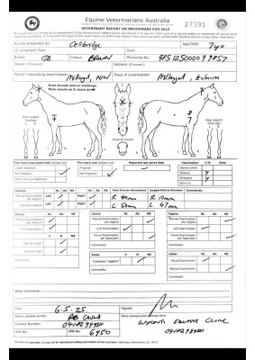 Breeding Report for Lot 255